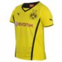 Picture of Puma Borussia Dortmund Kit
